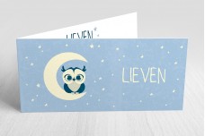 Uiltje op de maan